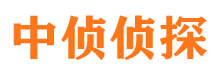 乌什侦探公司